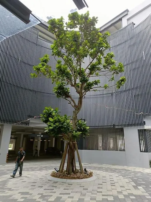 Cozy Sky Trees Bukit Indah Netflix And Amenities B06 Διαμέρισμα Τζόχορ Μπάχρου